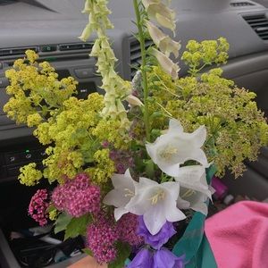 Meet your Posher, Jenny